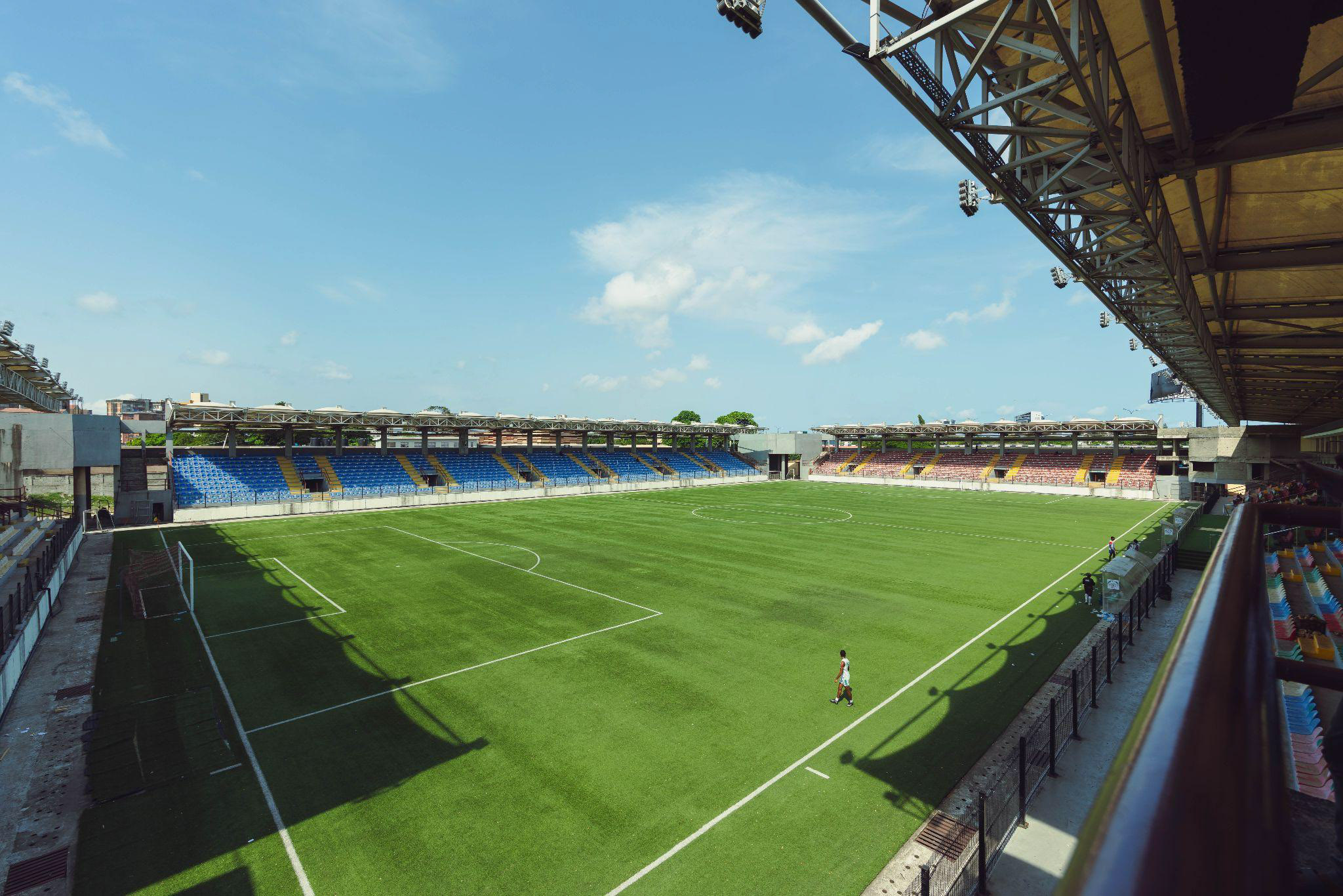 Mobolaji Johnson Arena pitch view